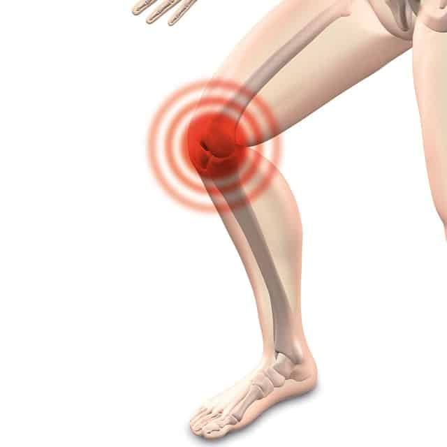 knee pain location on the body