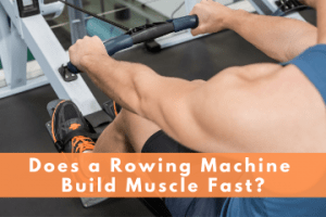 does using a rowing machine build muscle