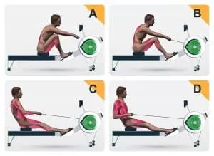4 phases of rowing