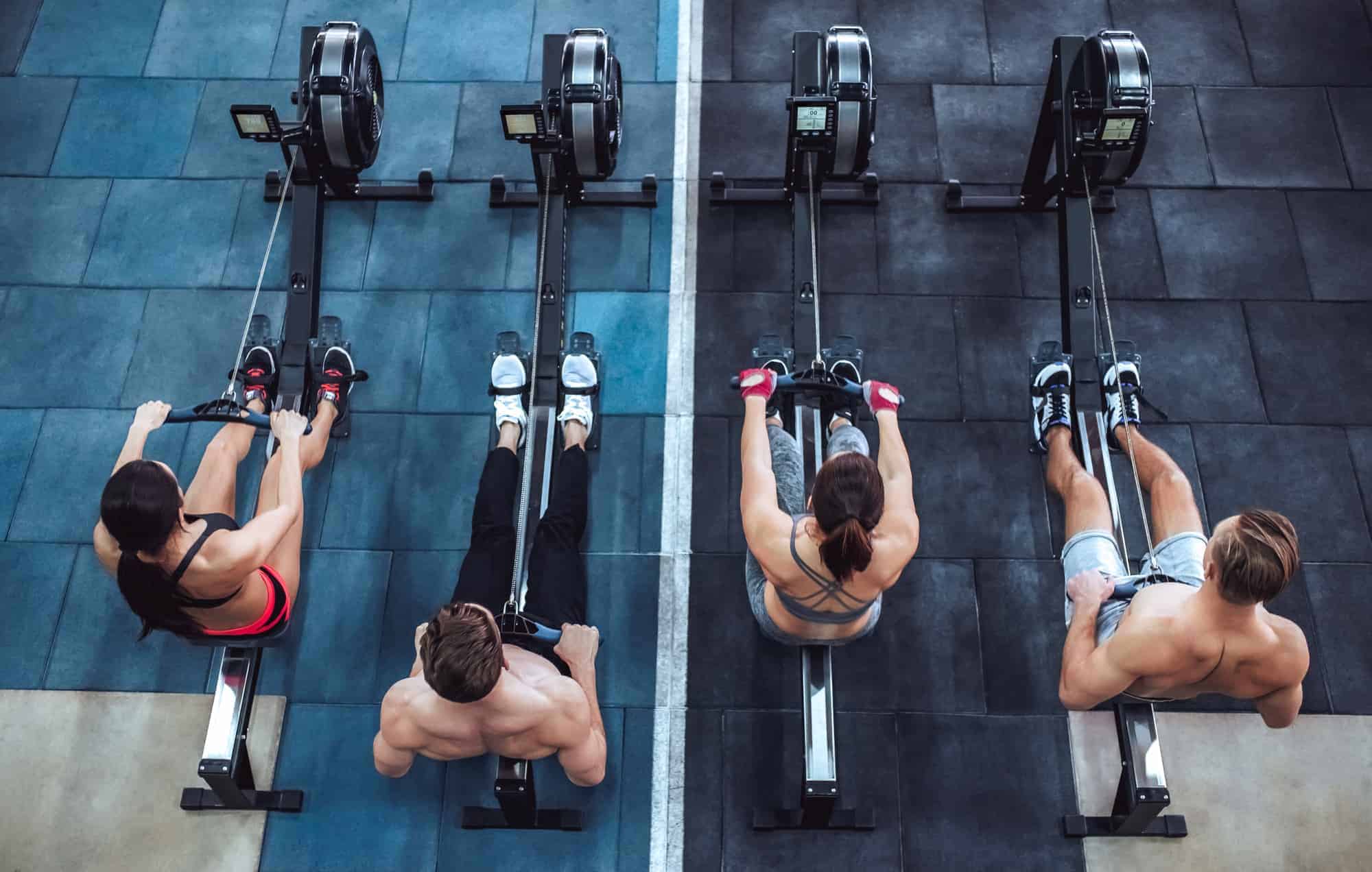 people competing on a interactive rower race