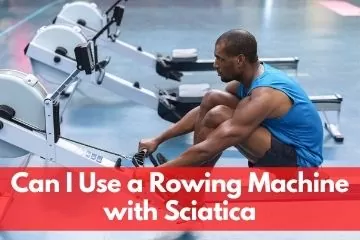 Bear rowing top machine