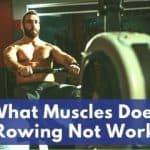 What Muscles Does Rowing Not Work Out?