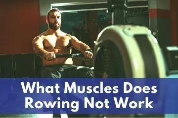 What Muscles Does Rowing Not Work