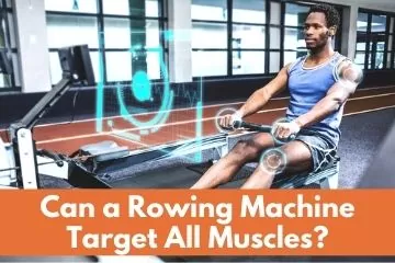 Can a rowing machine Target all Muscles?