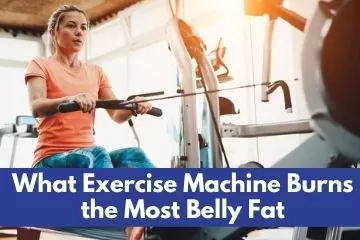 What exercise machine burns the store most belly fat