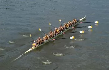 team of rowers rowing on river
