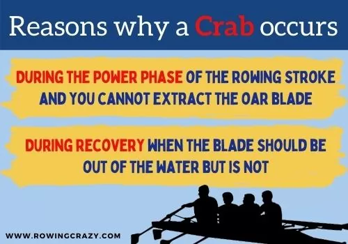 reasons why a crab occurs 