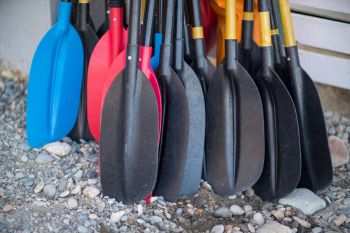 Colorful paddles for kayaks