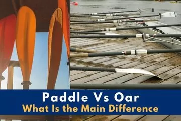 paddle vs oar