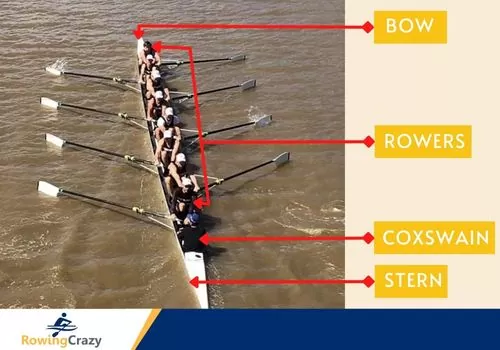 Positions in a Rowing Team labelled
