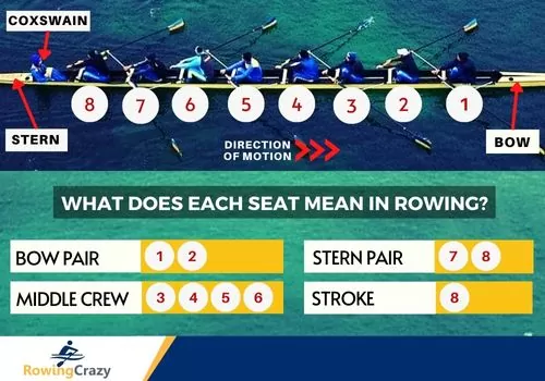 rowing position numbers and names in a coxed eight