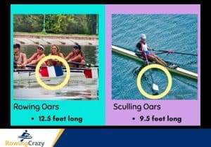 Rowing and Sculling Oars differ in length