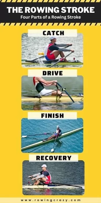 Four Parts of a Rowing Stroke