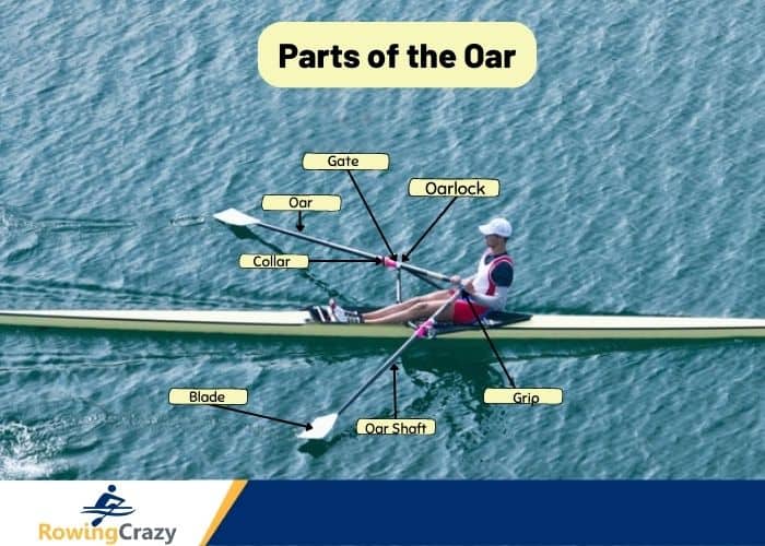 parts of the oar