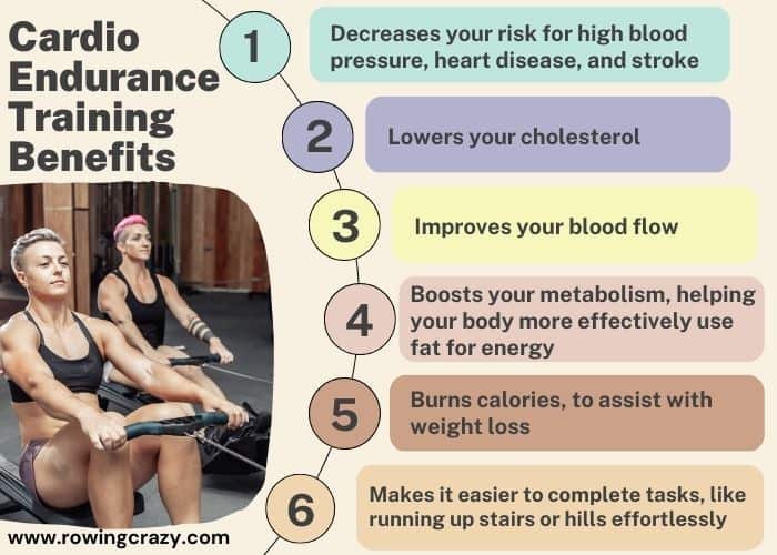 Benefits of Cardio Endurance Training infographic