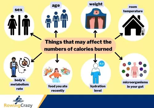 why is calories burned so complicated