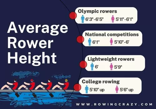 average rower height of male and female rowers in different categories