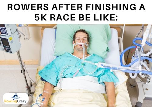 meme - Rowers after finishing a 5K race be like