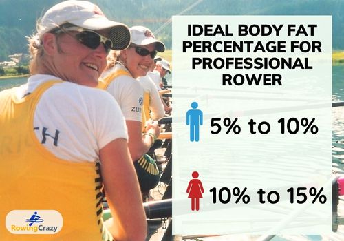 ideal body fat percentage for professional rowers