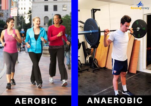 three women doing aerobic exercise by jogging, and a man doing anaerobic exercise by weightlifting